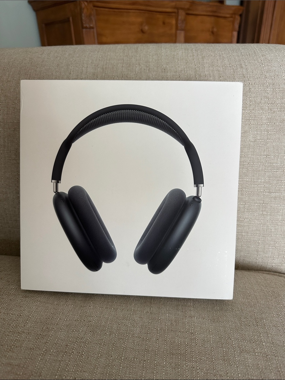 Apple Over-Ear Headphones - Space Gray Finish